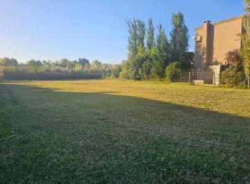 foto-1 · Lote en Venta, Area 10 San Sebastian