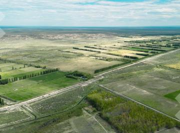 Campo · 1133m² · En Venta | Campo en Catriel | 1133 Has | Ruta Provincial 57