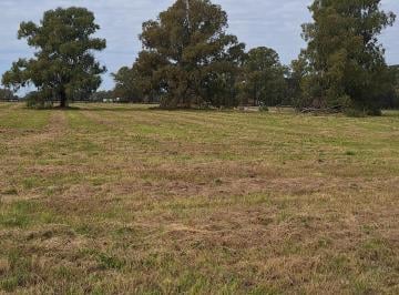 Terreno de 1 ambiente, Baradero · Dueño Directo - Chacra Lote 49 en Barrio Cerrado