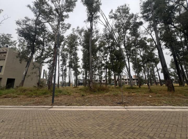 Terreno · 380m²