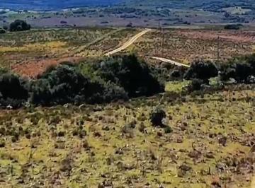 Campo · 220000ha · Campo en Venta 22 Has en Garzón Excelente Acceso