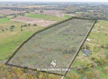 Campo · 170000ha · Importantes Campo de 17 Ha Aptas Desarrollo en Los Cardales