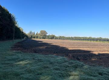 Terreno · 96000m² · Terreno en Venta Villa Esquiú | Fracción de 96000 m² Aprox. | Ideal Desarrollo o Producción.