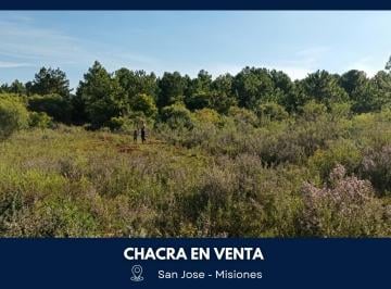 Terreno , San José · Chacra Productiva de 25 Hectáreas en Venta – San José, Misiones