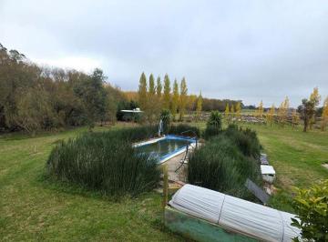 Campo , Tandil · La Chacra Que Produce Ingresos y Bienestar Todo El Año en Tandil