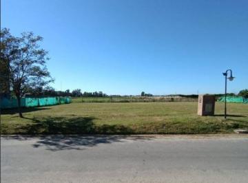 Terreno · 600m² · Terreno en Santa Isabel