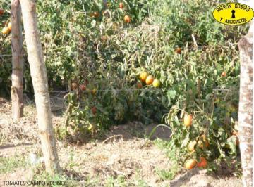 Imagen 1 · Campo Venta Aguas Blancas Sa
