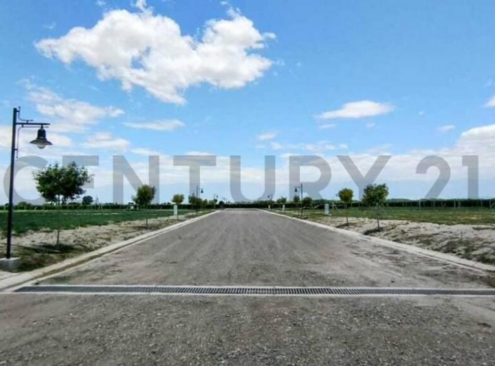 Terreno · 1000m²