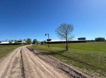 Terreno · 20000ha · Lote en Venta en Cañuelas