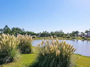 imagen1 · Se Vende Excepcional Terreno en Aires del Llano. Vista Al Lago, Sobre El Boulevard Principal.