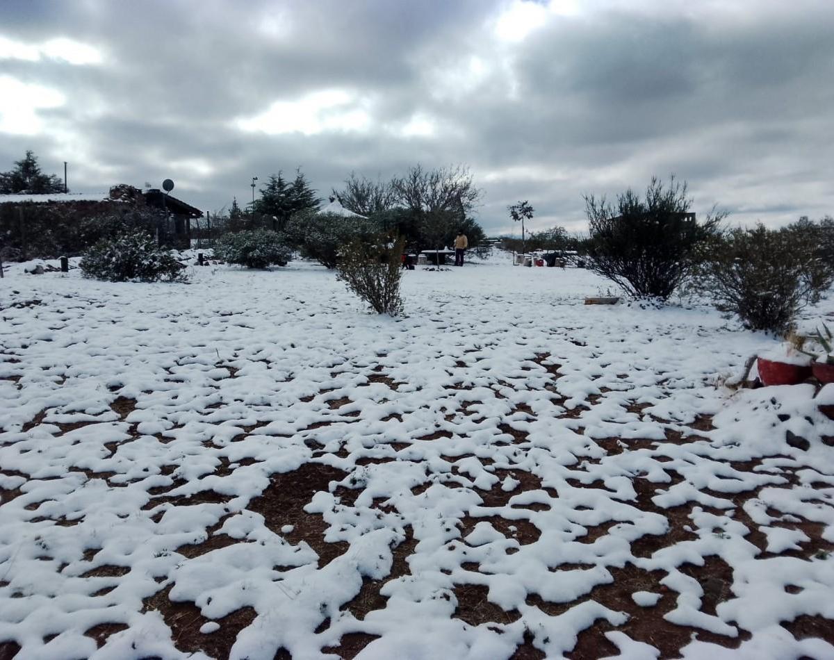 Luján de Cuyo, Mendoza, Argentina, Lujan De Cuyo, Mendoza, Argentina., Luján de Cuyo, Mendoza