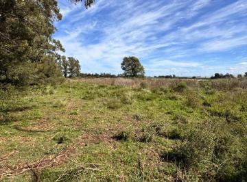 Terreno · 25000m² · Fraccion de Campo 2 y 1/2 Ha - Zona Boqueron - Mar del Plata - Alquiler