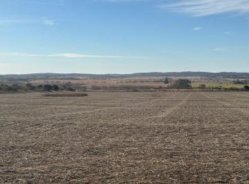 Campo , Berrotarán · Campo 700 Ha Mixto, Zona Berrotaran.