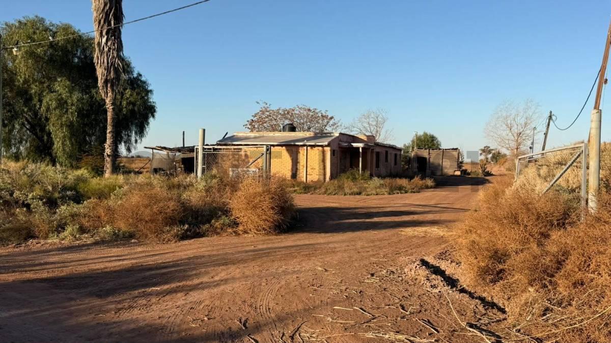 Los Pinos y Olascoaga,  Maipú, Mendoza