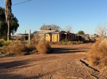 Campo · 300m² · 3 Ambientes · Venta de Finca. Corralitos Maipú.