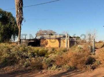 Campo · 300m² · 3 Ambientes · Venta de Finca. Corralitos Maipú.