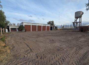 Bodega-Galpón , San Rafael · Galpón, Bodega Antigua, Báscula, Amplio Terreno Para Construir Más.
