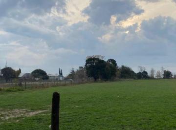Campo · 55000ha · Campo en Venta - 5,5 Hectáreas - Pergamino