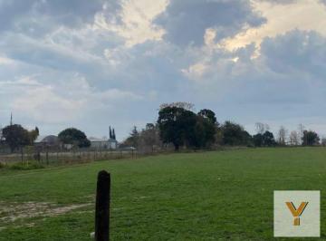 Campo · 55000ha · Campo en Venta - 5,5 Hectáreas - Pergamino