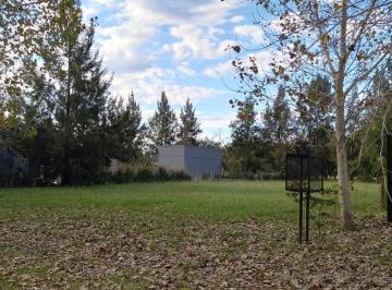 Terreno , Brandsen · Venta Lote