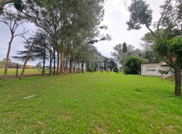Terreno · 1209m² · Venta Gran Lote Arbolado en Pueblo Esther