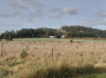 Terreno · 1000m² · 2 Lotes en Blok en Venta en Los Pinos, Balcarce