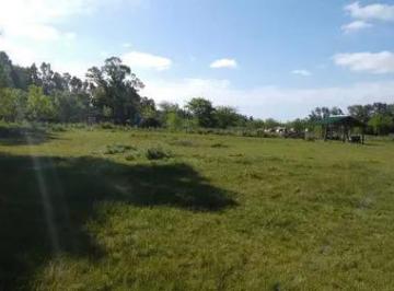 Terreno · 5000m² · Terreno en Venta - 5000 m² - Abasto, La Plata