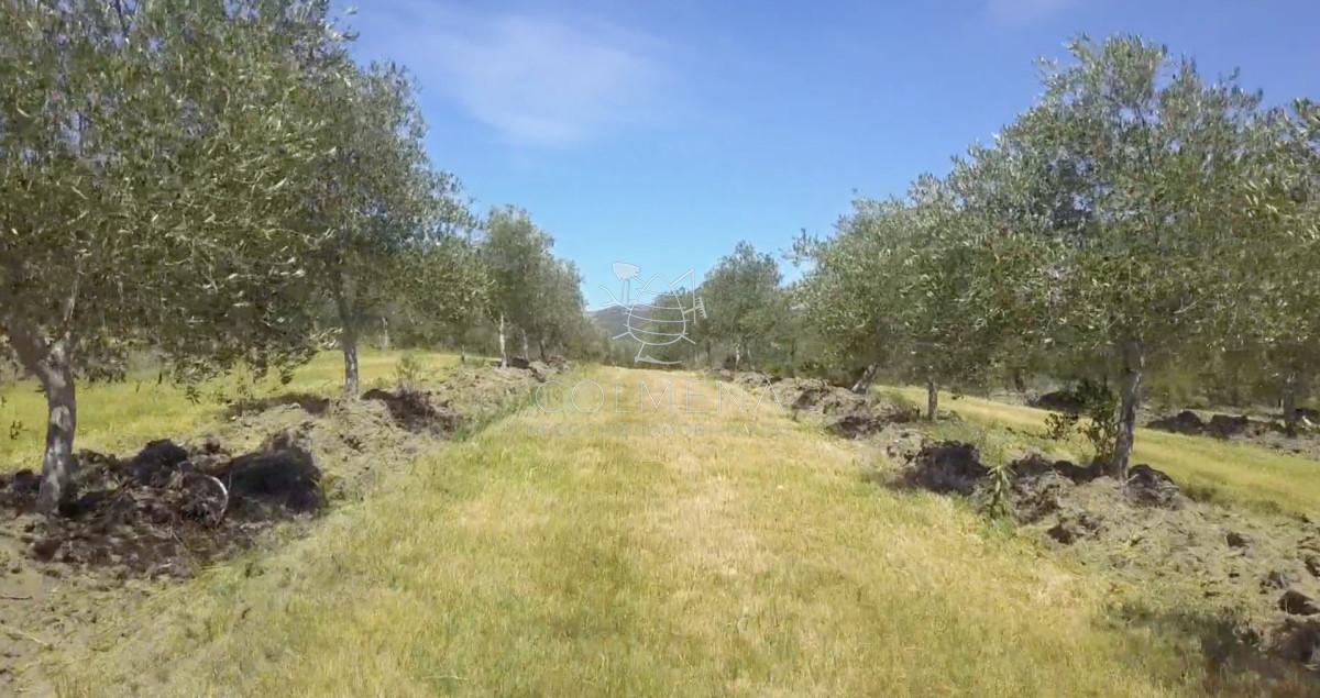 ,San Carlos,Otros Paises, Maldonado, Uruguay
