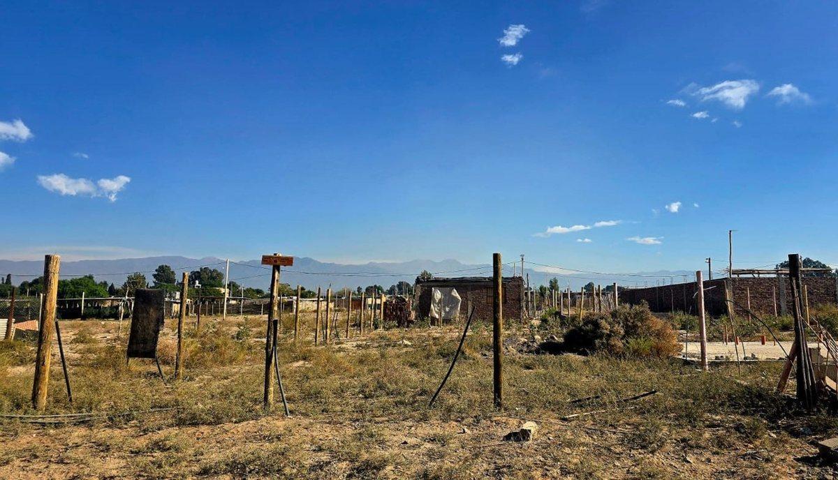 Los Algarrobos S/N, El Borbollón, Mendoza