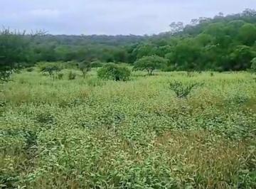 Quinta vacacional · 14500000m² · Tapia - Finca de 14, 5 Ha Sobre Ruta 341 Fte. Club Polo Ideal Loteo o Agricultura/ Ganaderia