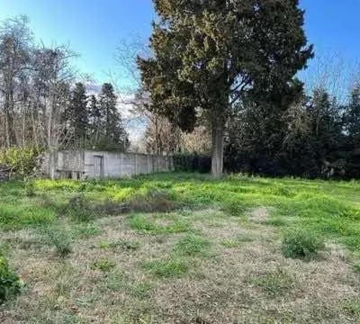 132 e/ 463 y 464, City Bell, La Plata