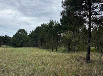 Terreno · 1098m² · Lote en Venta en Barrio Bosques Pinamar Norte