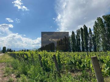 Campo , Perdriel · Venta de Finca en Perdriel