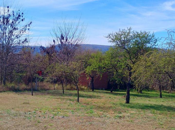 Terreno · 1255m²