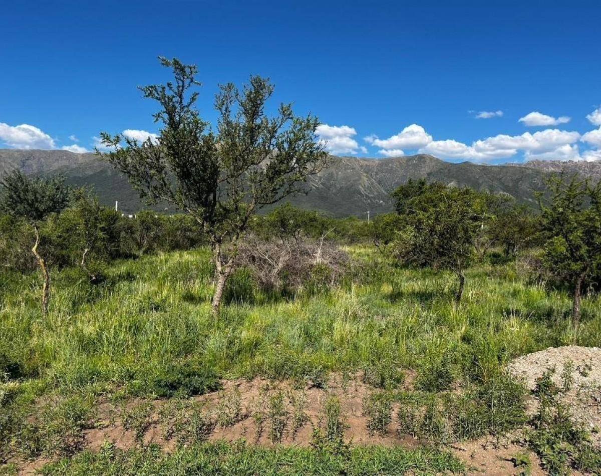 Ruta 1 100, Cortaderas, San Luis, Argentina., Cortaderas, San Luis