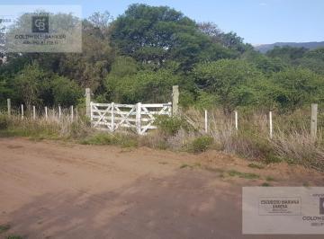 Terreno · 1163m² · Venta Terreno Merlo Los Molles San Luis