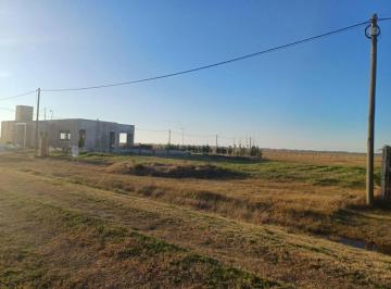 Terreno · 1004m² · Terreno en Venta - 1.004 m² - Berisso