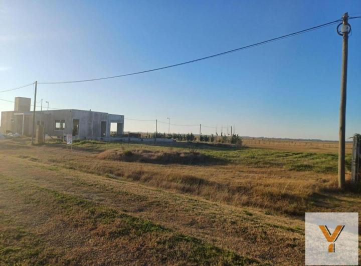 Terreno · 1004m²