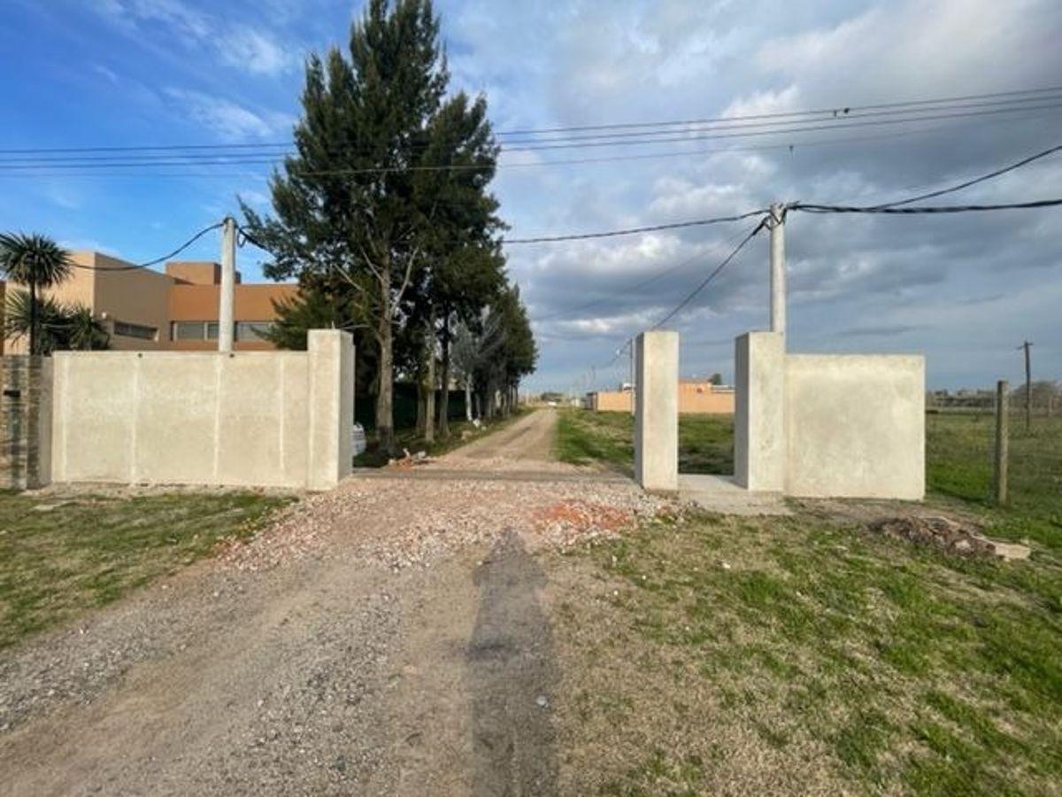 Calle 38 , Lisandro Olmos, La Plata