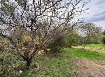 Terreno · 300m² · Terreno en Venta en Salsipuedes, Barrio Villa Sol