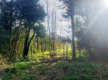 Terreno · 10220m² · Venta Chacra de 1 Ha Mercedes