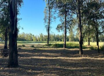 Terreno · 1155m² · Lote C60 Venta Campo Timbó, Totalmemt. Financiado
