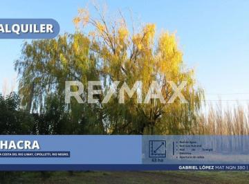 Campo · 80ha · Alquila Chacra 63 Ha Costa Rio Limay Cipolletti Rn