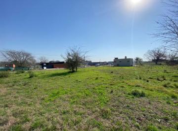 Terreno · 490m² · Lotes Terrenos en Venta City Bell