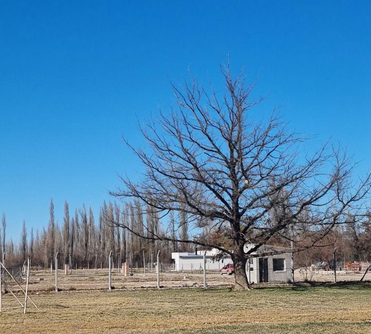 Pergamino S/N, Neuquén, Neuquén