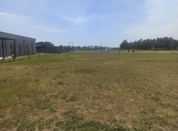 Terreno · 800m² · Lote en Venta en Barrio Privado Cañuelas Park