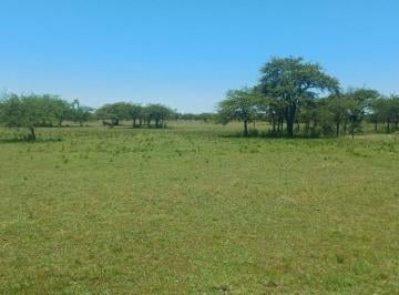 Terreno · 10000m² · Venta de Terreno de 10.000 m² en Mercedes Ctes