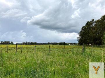 Campo · 32874m² · Campo en Venta - 32.874 m² - Mechongue, General Alvarado