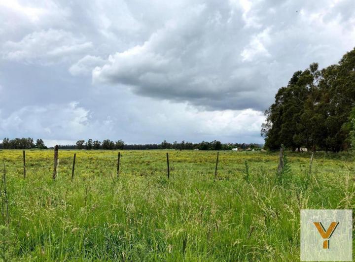 Campo · 32874m²
