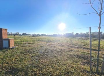 Terreno · 530m² · Terreno Lote en Venta en Santa Sofía, Pilar del Este, Pilar